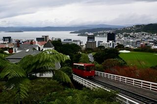Wellington