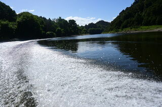 Immersed in the awa with Whanganui Tours