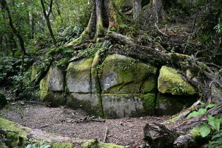 Kaimanawa Wall