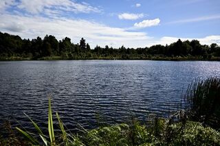 Nga Roto-o-Rangataua (Ohakune Lakes) Scenic Reserve