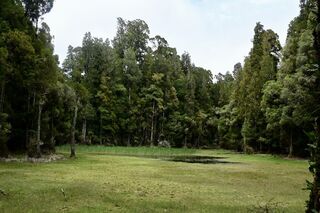 Waihora Lagoon