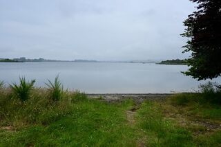 Brett Road Campsite